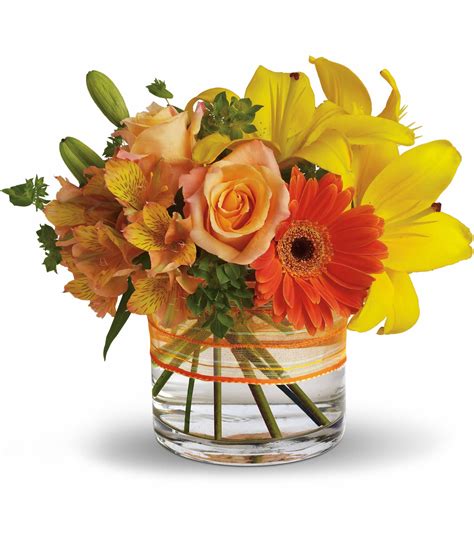 Avas flowers features a huge selection of premium flower arrangements that you can send to family and friends. Sunny Siesta by Teleflora in Minot, ND | Flower Central