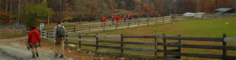 North Carolina Wilderness Therapy Trails Carolina