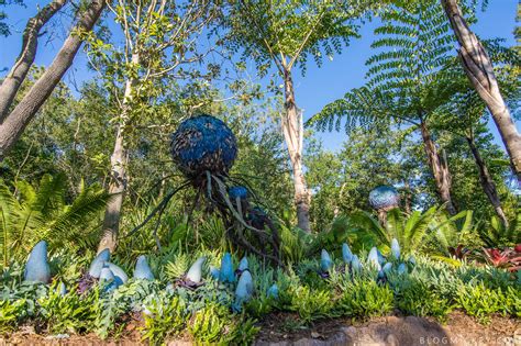 Cacti are intriguing plants that sometimes seem like they are from another world. PHOTOS: A Look Around the Environment of Pandora - The ...