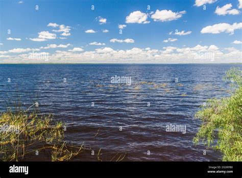 Wetlands In Nature Reserve Esteros Del Ibera Argentina Stock Photo Alamy