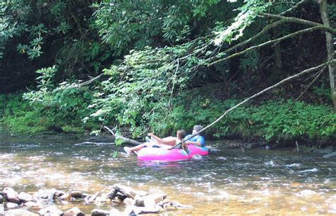 National Forests In North Carolina Carolina Outdoors Guide