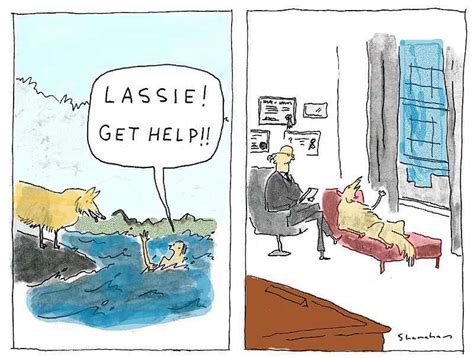 Lassie Get Help Cartoon Jokes Best Funny Pictures Funny Memes