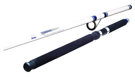 What Makes The Best Surf Fishing Rod BearCaster