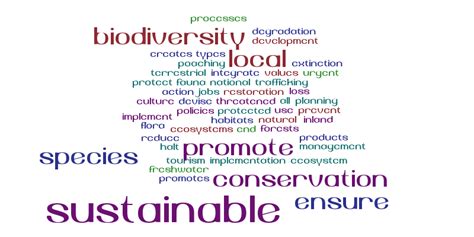 Un Sustainable Development Goals Word Cloud Worditout