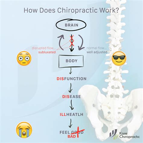 How Does Chiropractic Work Chiropractor Infographic Flowchart
