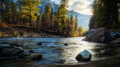 Online Crop Landscape Photography Of River In Pine Tree Forest Under