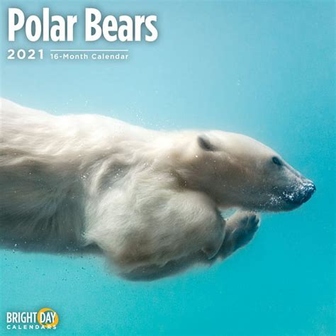2021 Polar Bears 12 X 12 Wall Calendar Cute Arctic Snow Animal