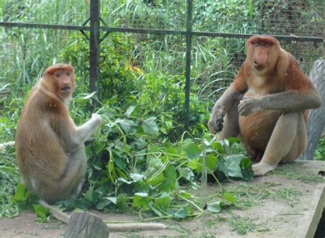 Cara iklankan perniagaan dan buka kedai online. Senarai Tempat Menarik Di Negeri Sabah: Destinasi ...