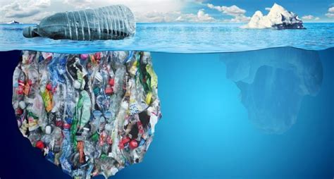 How Plastic Pollution Harms Marine Life Safety4sea