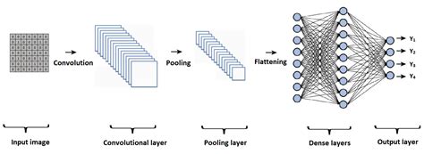 The Architecture Of Convolutional Neural Network Cnn Download Vrogue