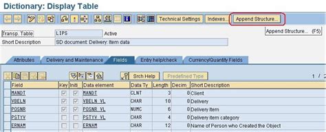 ABAP Mania Append Structure To SAP Standard Table LIPS