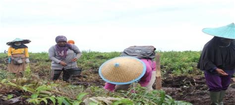 Kubu Raya Prioritaskan Pembangunan Berbasis Pedesaan  GenPI.co KALBAR