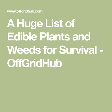A Huge List Of Edible Plants And Weeds For Survival Offgridhub