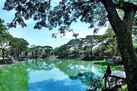 Ekowisata Mangrove Wonorejo Spot Sempurna Untuk Ngadem Dari Panasnya