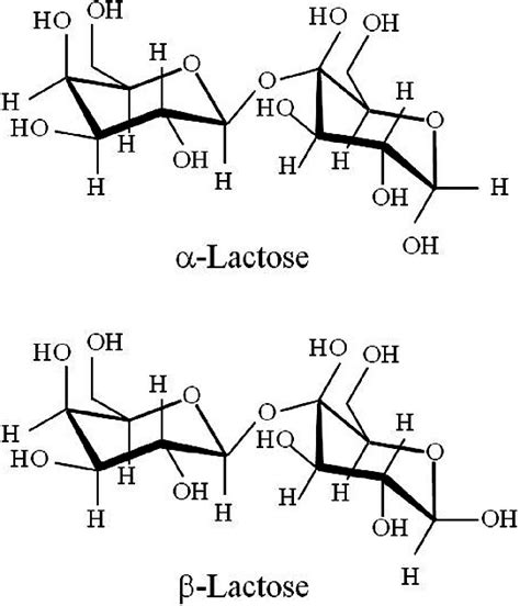 Molecular structures of α D lactose α lactose and β D lactose