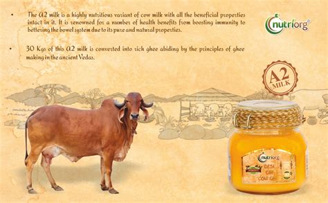 Organic Desi Gir Cow Ghee 1000ml Nutriorg Earth Organic Store