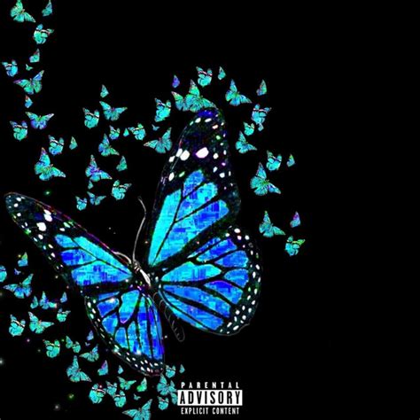 Butterflies Song And Lyrics By Sedi Spotify