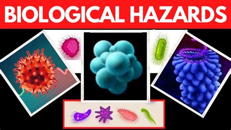 Biological Hazard Classes Of Biohazards Effects Of Biological