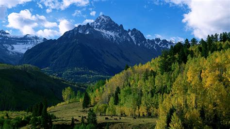 1920x1080 Nature Forest Sky Mountains Trees Hills Autumn Clouds