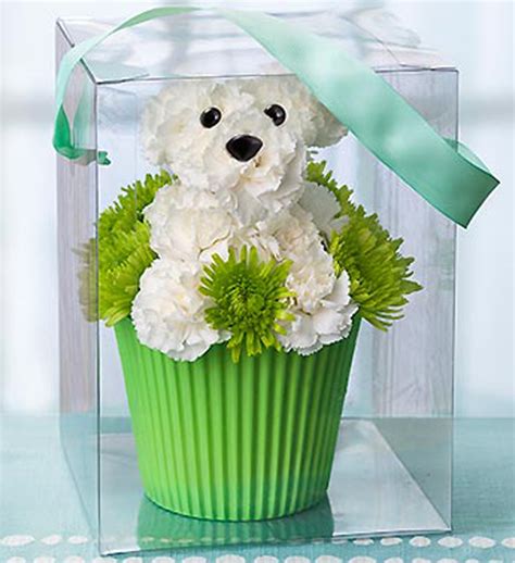 The results of this campaign designated a single plant species to a county or metropolitan area in the uk and isle of man. How About Some Dog-Shaped Flowers for Mother's Day?