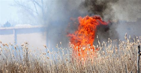 Dnr Fire Danger Elevated In Southeast Michigan Thumb