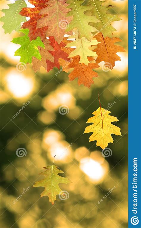 Falling Leaves In Autumn On A Blurred Green Background Stock Image