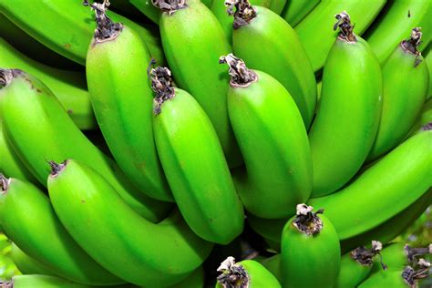 Grüne Bananen Foto And Bild Pflanzen Pilze And Flechten Früchte Und