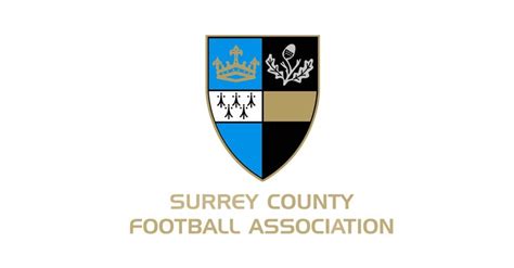 Surrey Fa Presentation Dan Abrahams Football Psychology