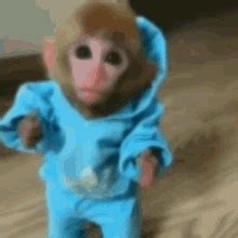 Monkey Reaction GIF Monkey Reaction Confused Discover Share GIFs