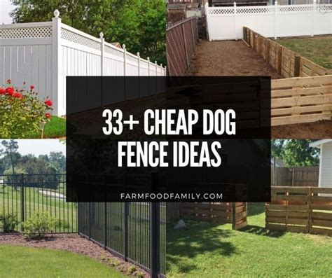 30 Cheap Dog Fence Ideas And Designs For Your Backyard 2022