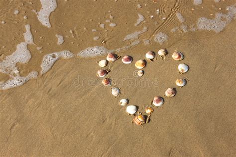 Heart Shape Made From Sea Shells On Sandy Beach Room For