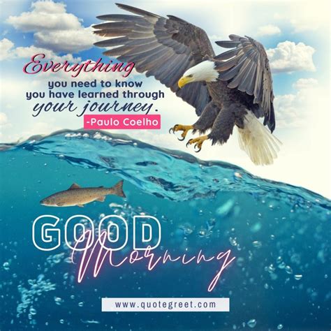 25 Beautiful Good Morning Eagle Images With Quotes Greetings Quotegreet