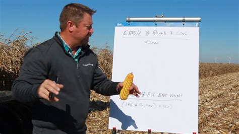 Popular Corn Yield Estimate Formula Off Agronomy