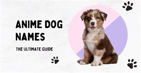 Anime Dog Names Inspiration For Your Furry Friend Petfooled