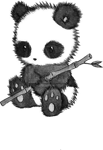 Download Hd Fuzzy Cuddly Panda Drawing Oso Panda Dibujo A Lapiz