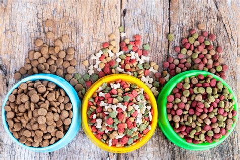 Here's our take on best cheap dog food, for when you're on to find the best dog food recipe for the money, take the following tips into consideration: 10 Best Dog Foods | LoveToKnow