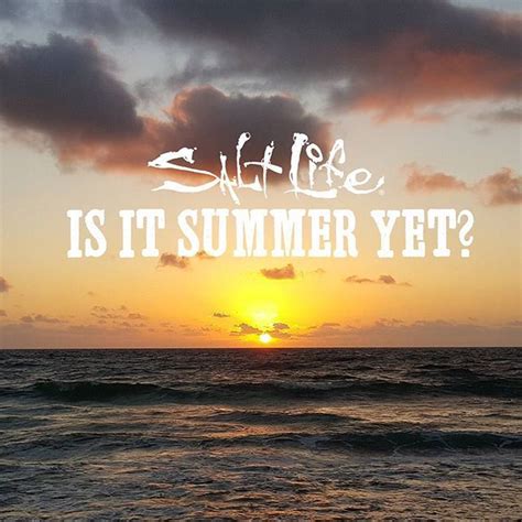 Missing summer.... #SweetSummertime #BeachQuotes | Beach ...