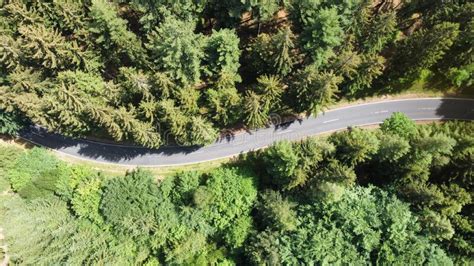 Aerial View Of Winding Road In Forest Stock Photo Image Of Forest
