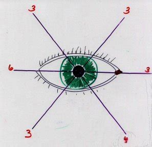 The cranial nerve iii,iv and vi are motor nerve and control eye ball movement known as iii occulomotor iv trochlear and vi abducens nerve. | LHSC