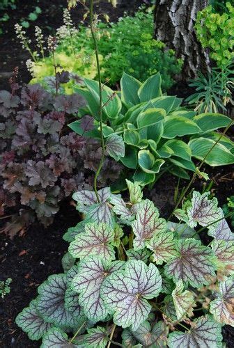 The 17 Best Shade Perennials For Gardens That Overflow With Color Artofit