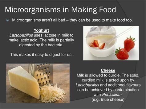 The Benefits And Challenges Of Using Microbiology In Food Production