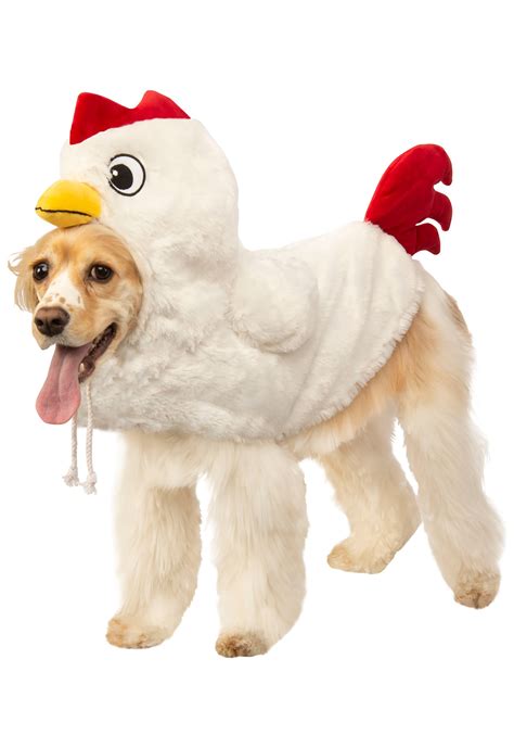 Boiled chicken for dogs with stomach problems. Clucking Chicken Dog Costume