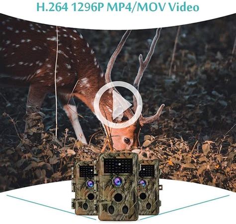 Top Best Motion Activated Wildlife Cameras Of Fail Proof Opticsmax