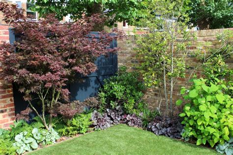 Top 10 Best Trees For Small Gardens Living Colour Gardens