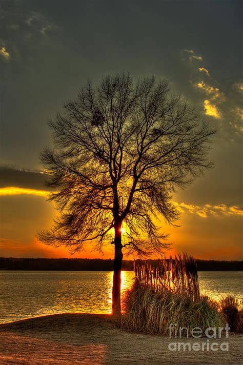 Sunblock A Sunset On Lake Oconee Photograph By Reid Callaway