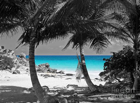 Best Wallpaper Photography Black And White Black And White Beach