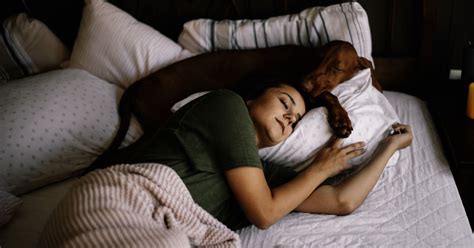 Studie Frauen schlafen besser neben Hunden als neben Männern daran liegt s freundin de