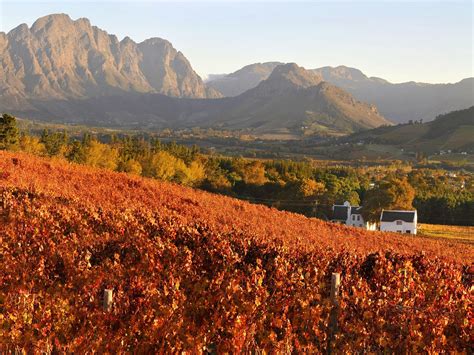 Franschhoek Our Home Town A Village The Gourmet Capital Of South
