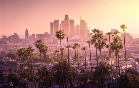 The Best Things To Do In Los Angeles