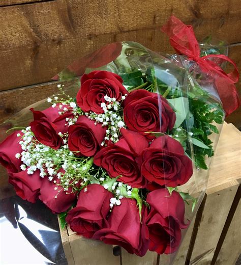 Wrapped Dozen Red Roses In Cambridge Ma Coady Florist